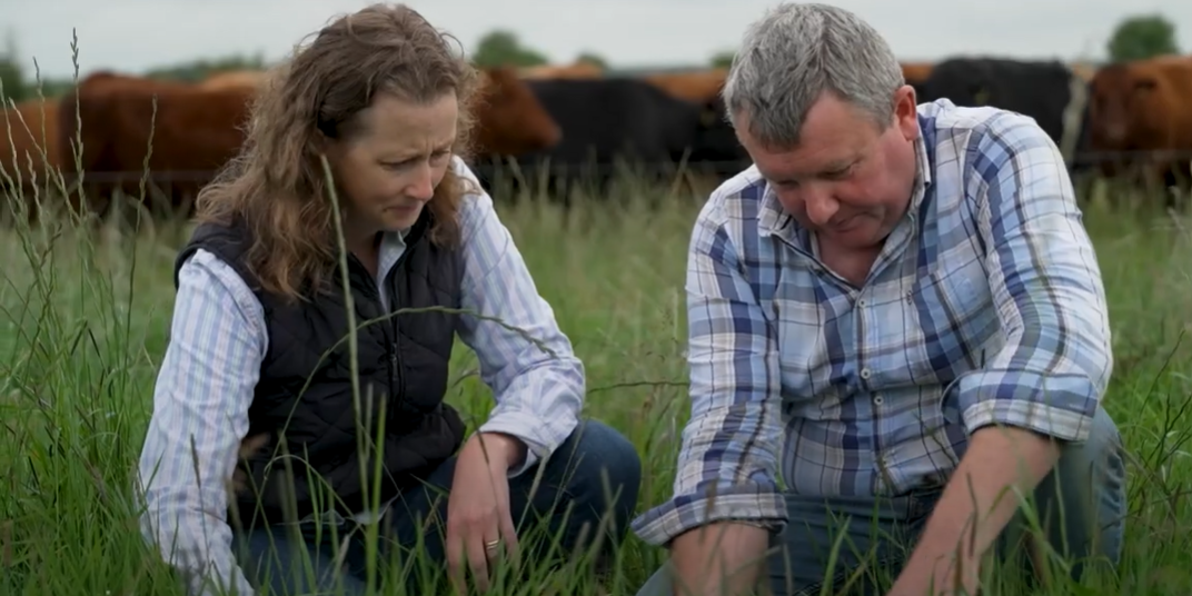 How this suckler farmer is going the extra mile to protect water quality