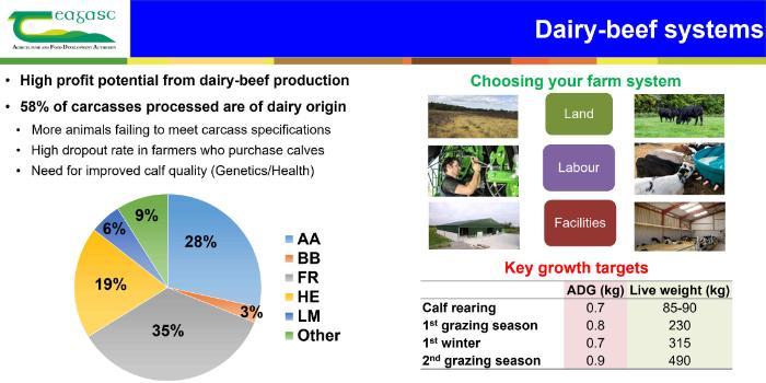 Grange dairy-beef research update board 2