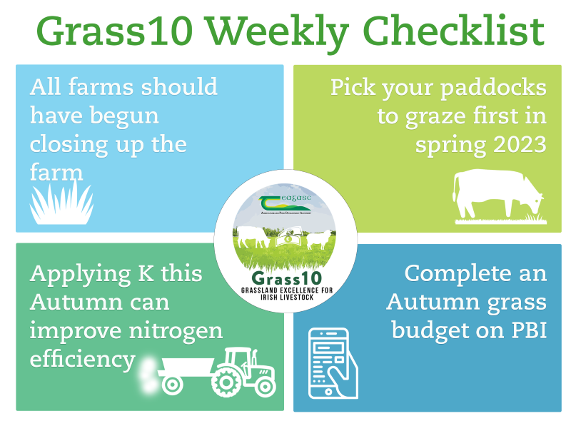 Graphic showing grass 10 weekly checklist