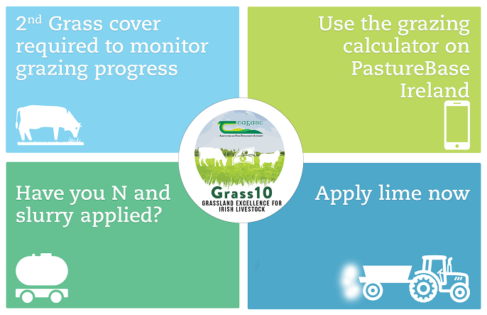 Graphic showing the Grass 10 weekly checklist