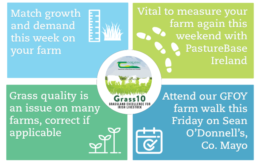 Grass 10 weekly checklist July 5.