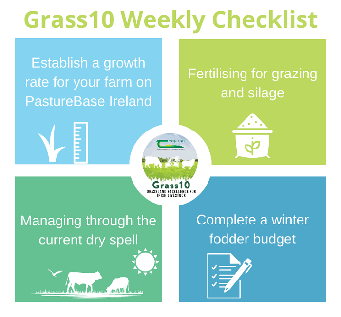 Protect average farm cover as 'green drought' takes hold