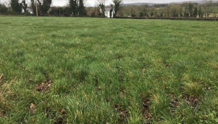 Maximizing the Use of Slurry and a Plan for Fertiliser this spring