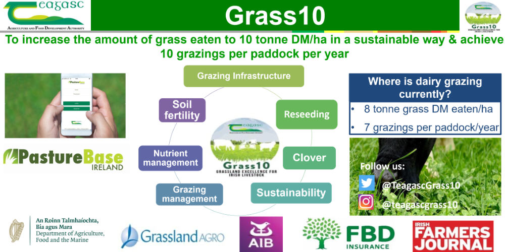 Grass10