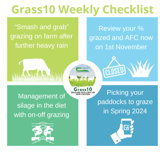‘Smash and grab’ grazing and managing silage in the diet