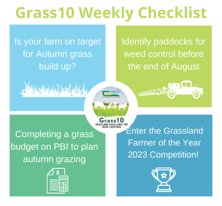 Is your farm on target for autumn grass build up?