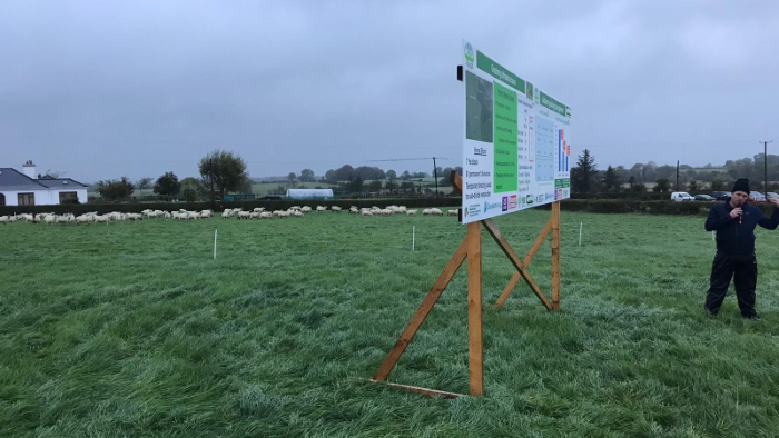 Grass10 Newsletter 11th October