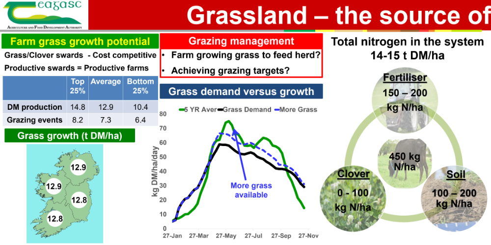 Grassland the source of a sustainable future 1