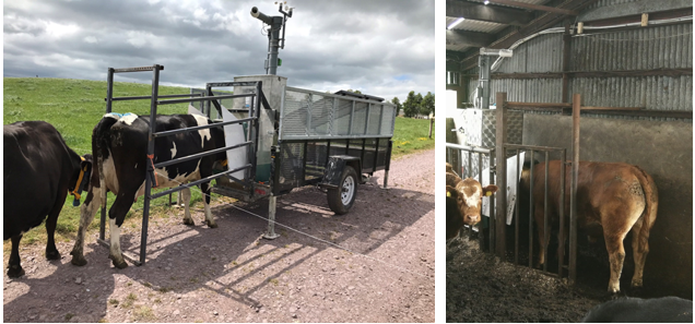 The GreenFeed Emissions Monitoring System