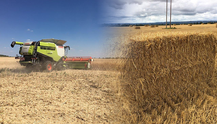 Tillage update  - The value of Chopped Straw