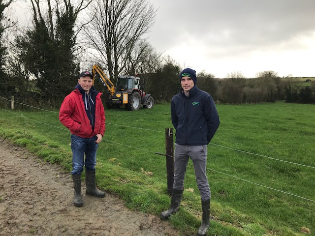 Hedge cutting advice