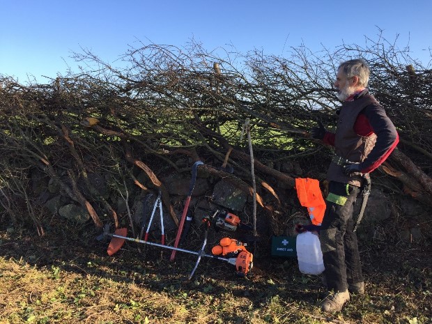 Eoin Donnelly showing the skill involved in laying a hedge and the equipment used.