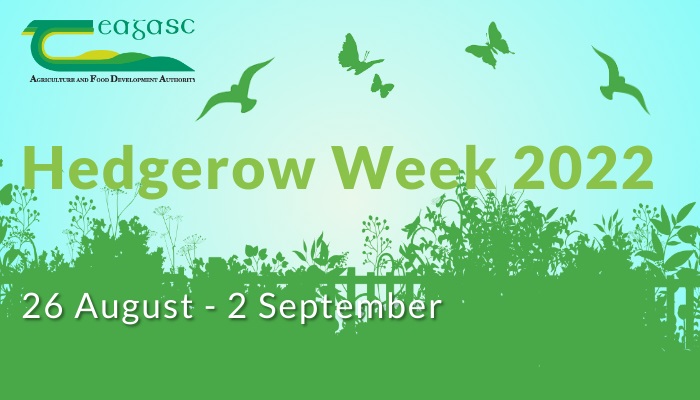 Hedgerow Week 2022 - "Best Practice Hedge Cutting"