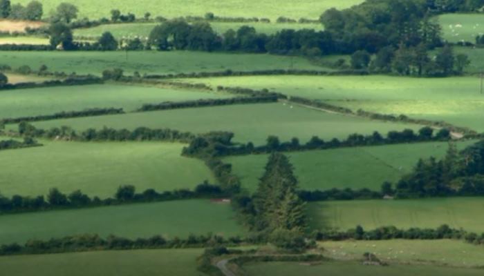 Farm incomes move up in 2024