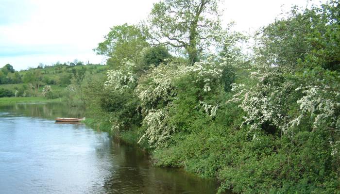 New €60 million Water EIP Project - Targeted Measures to Improve Water Quality on Farms