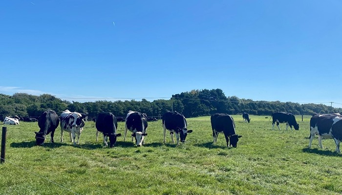 Investing in the correct herd genetics