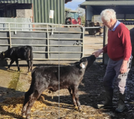 High CBV calf sire was AA9532 on farm of Sean and Pat Barry Pallasgreen