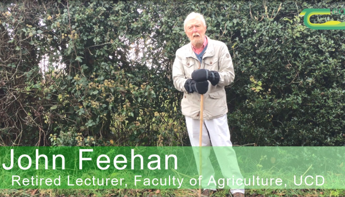 History of Irish Hedges