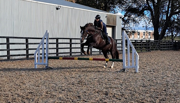 Horse jumping a pole at Gurteen College