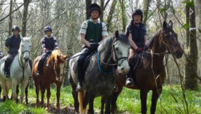 Breeding Sport Horses