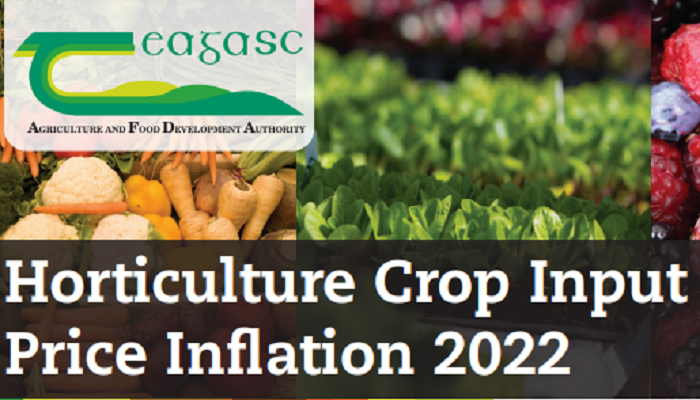 Horticulture Crop Input Price Inflation 2022