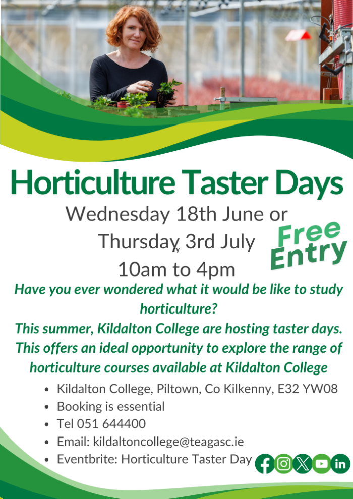 Flyer for Kildalton Taster Days