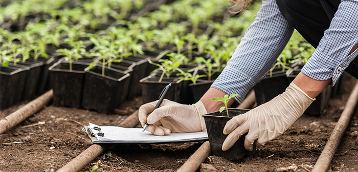 Four years of significant input price inflation in the horticulture sector