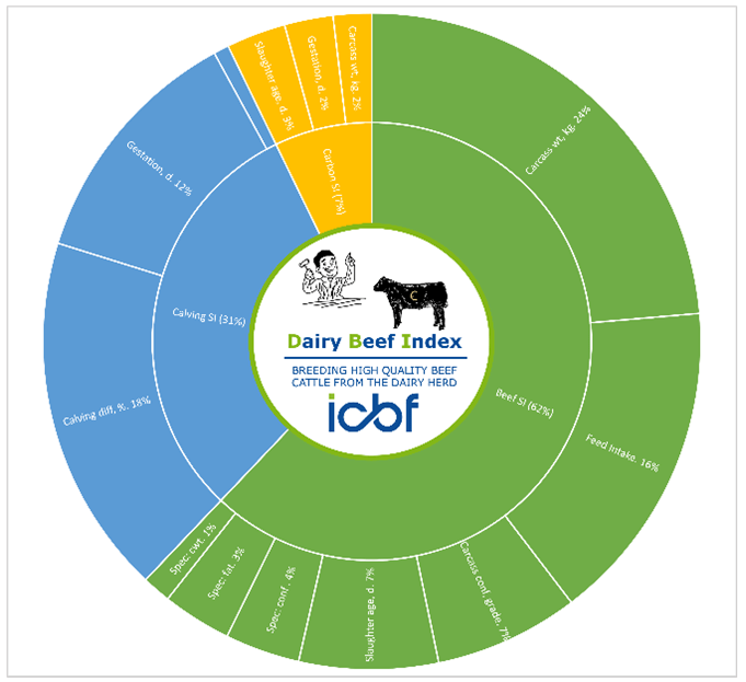Graphic of DBI 2023