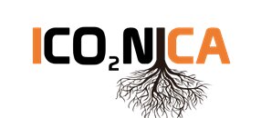 Iconica Logo