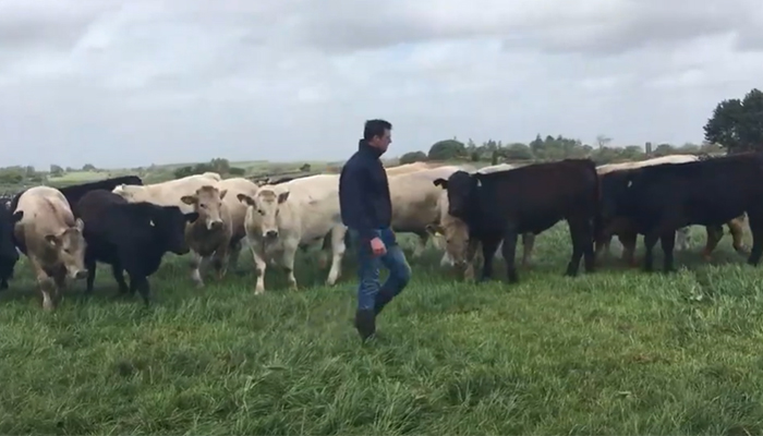 Biodiversity continues to be encouraged on Newford Farm