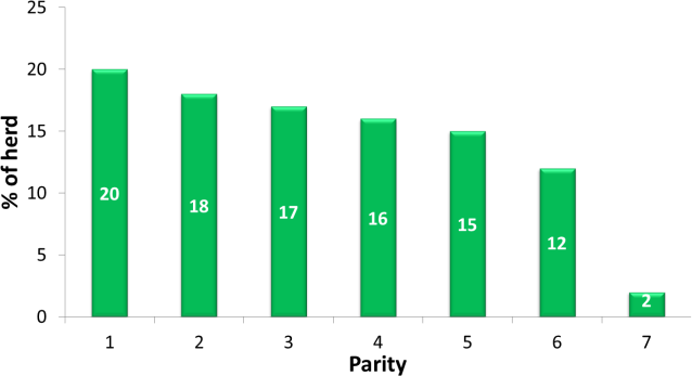 Ideal Parity Distribution