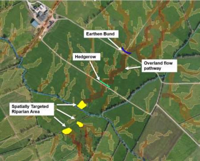 Image showing overland flow pathways and measures to intercept contaminant losses
