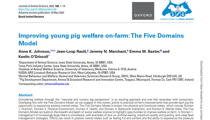 Improving young pig welfare on-farm: PDD Review paper