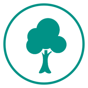 An icon with a dark green tree surrounded by a dark green circle on a white background