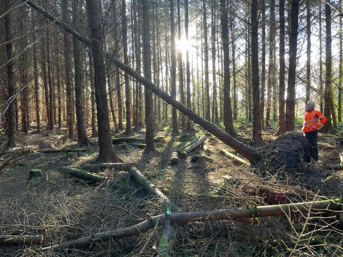 Managing Storm Damage in Your Forest: Practical Steps for Farmers