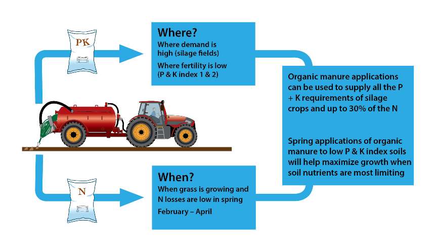 Infographic Organic manures 