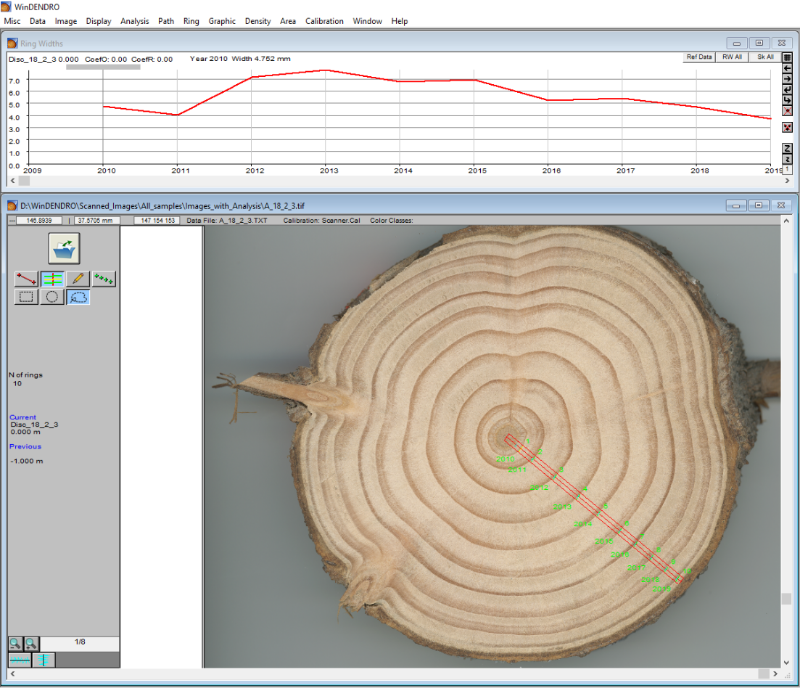 Interface of WinDENDRO software