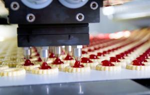 Biscuits being made on a factory assembly line