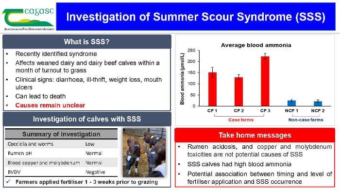 Investigation of Summer Scour Syndrome