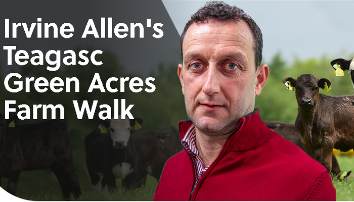 Irvine Allen - Teagasc Green Acres Farm Walk