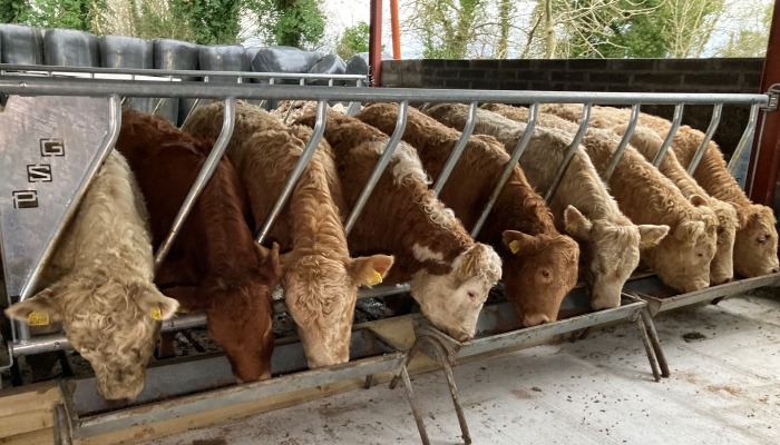 Time to think about becoming an organic farmer?