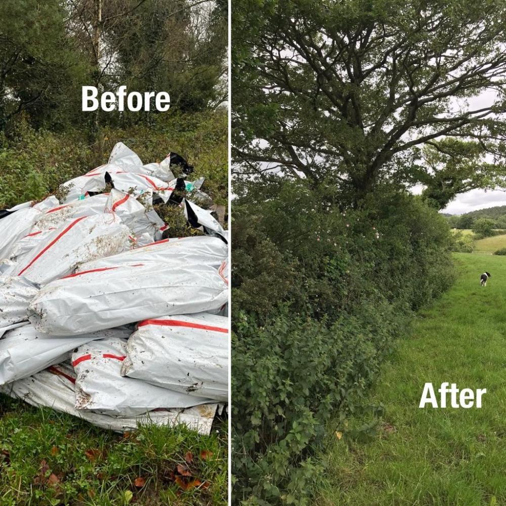 Before and after planting a hedge