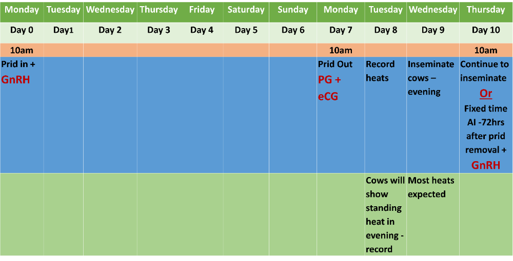 Recommended synchronisation protocol for cows