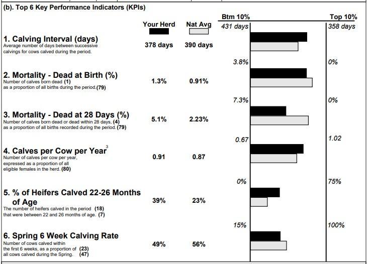 ICBF calving performance report