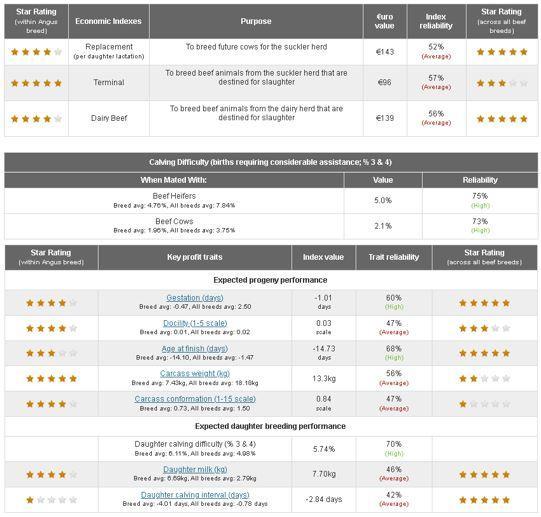 Eurostar indexes for Angus bull