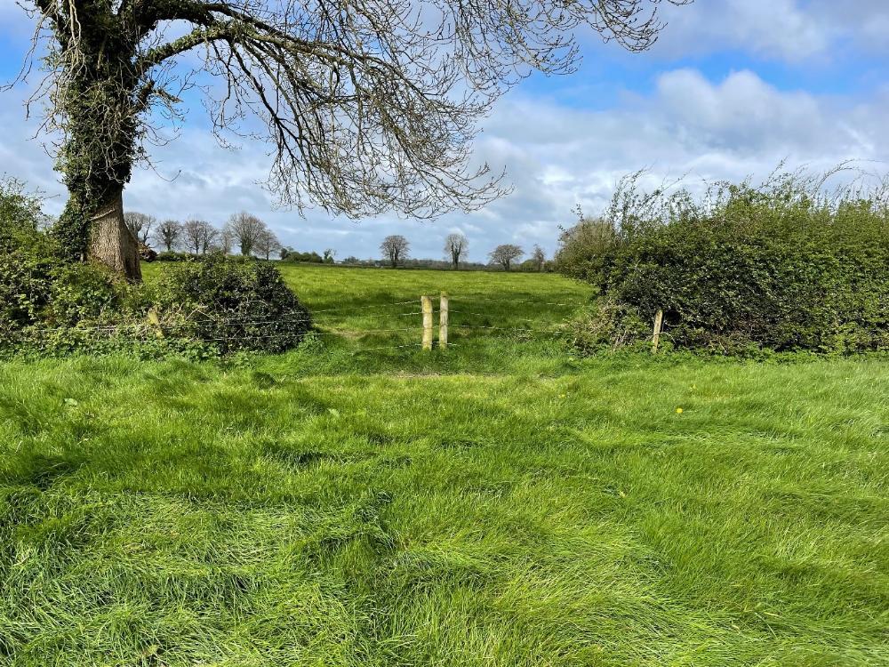 Heavy grass covers on John's farm