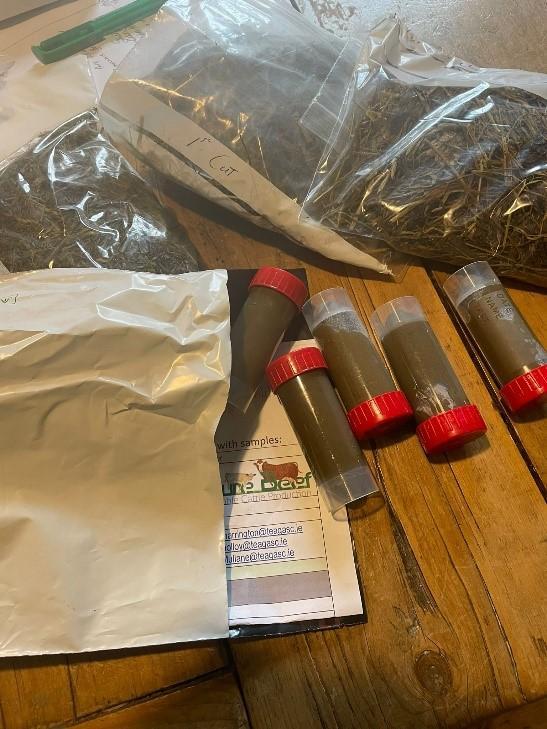 FEC sample kits ready for posting