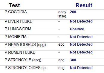 FEC sample results