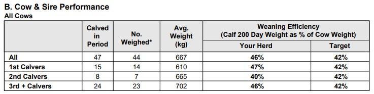Cow details from ICBF Weaning performance report