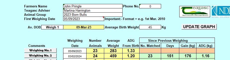 Bull weights